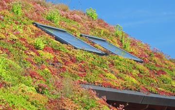 Melkinthorpe living roof systems