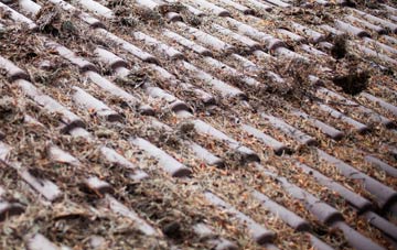 Melkinthorpe roof cleaning companies