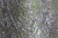 Melkinthorpe fibreglass roof work